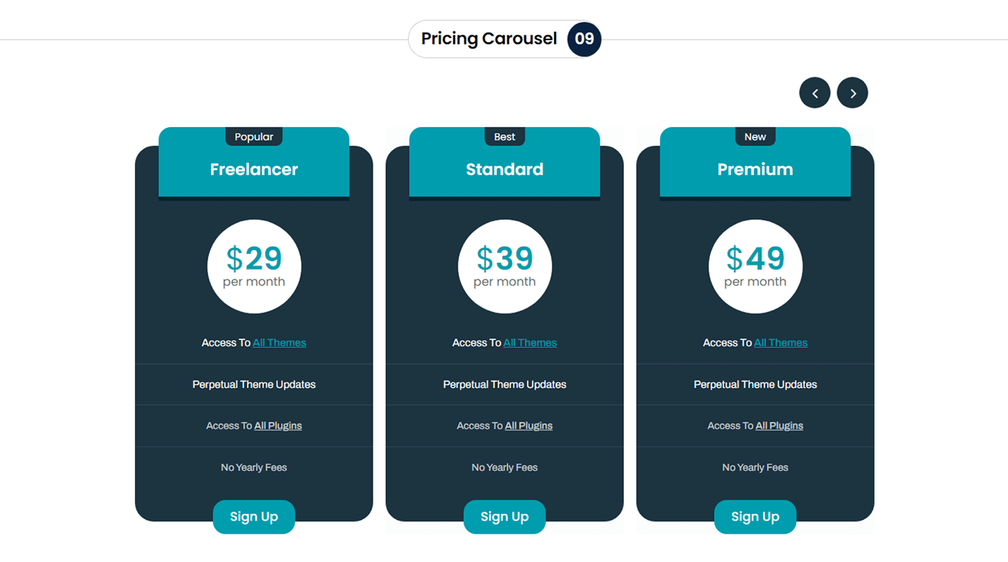 Divi Pricing Table Carousel Section 09